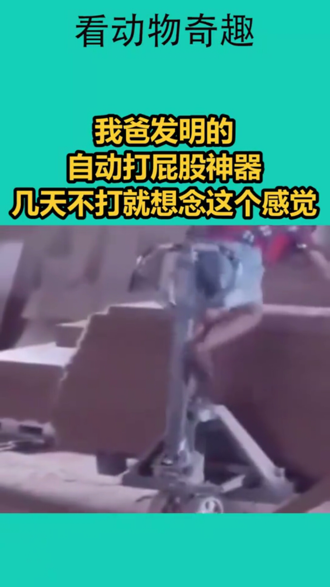 我爸发明的自动打屁股神器几天不打就想念这个感觉