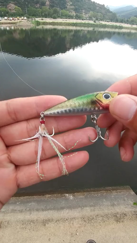 路亚假饵之波爬#路亚野钓