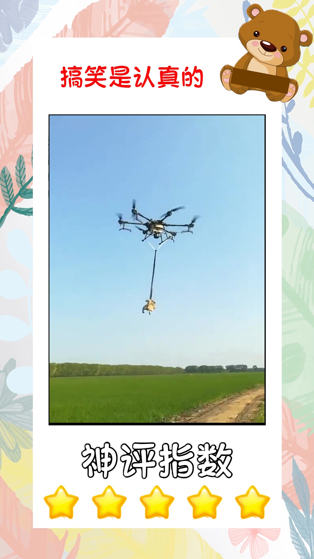 搞笑#现在的世道真是变了,狗子居然坐上了无人机,比人的待遇都高!