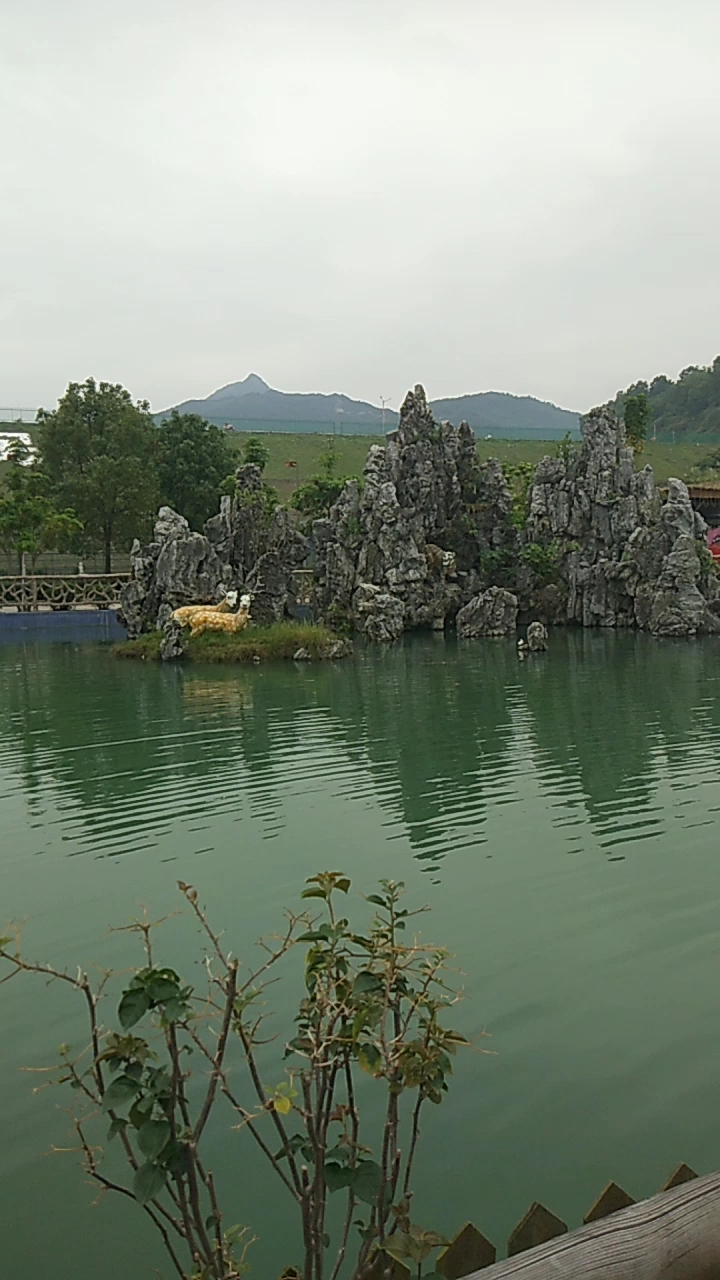 普宁大南山利泰广场图片