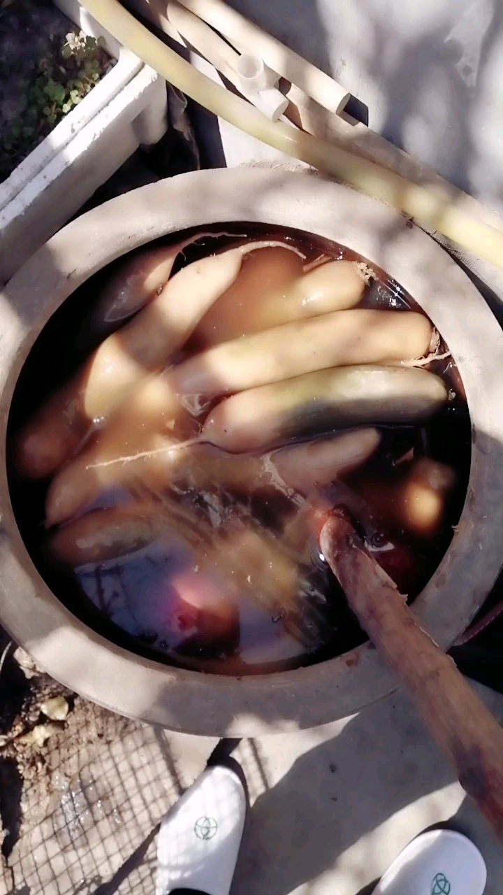 山东人民基本家家都有的咸菜大缸子!