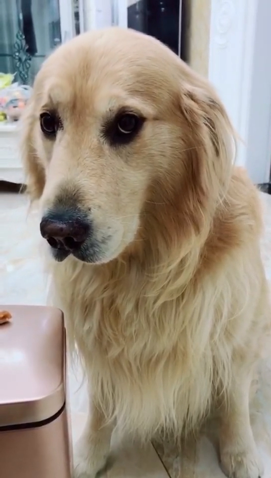 眼神疯狂的暗示,我看不懂啥意思