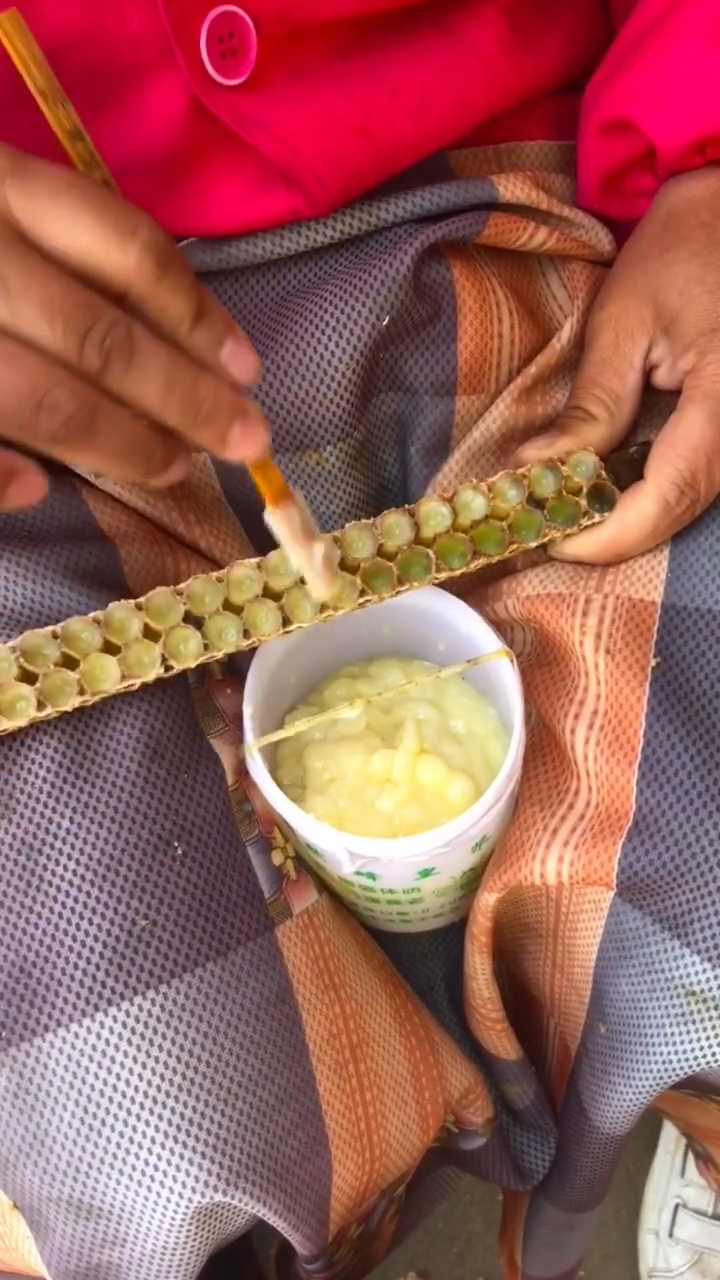 蜂王浆非常难取,得一勺一勺的挖出来,取好的蜂王浆必须第一时间放在