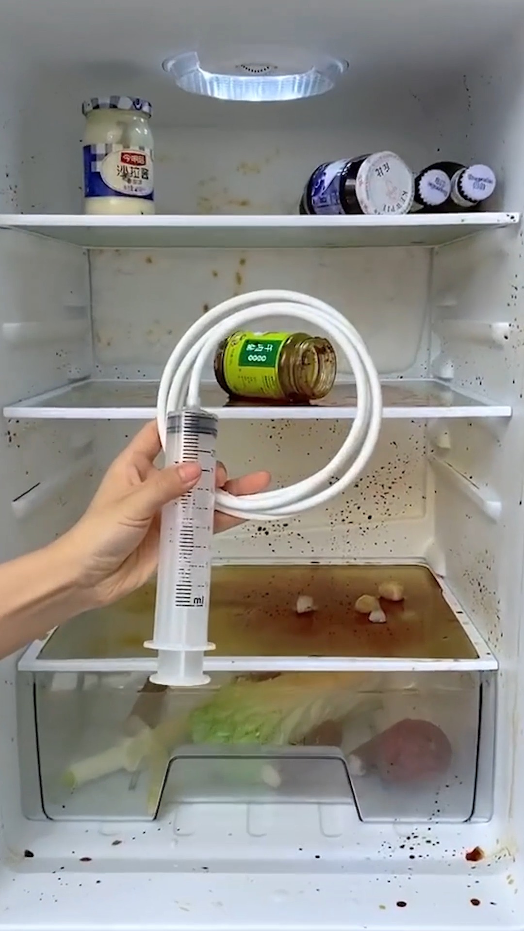 我要上热门冰箱排水孔堵塞老有积水怎么办我教你一招彻底修好