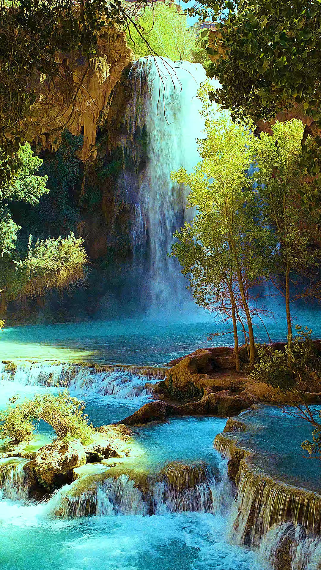 最美的风景#治愈的大峡谷,你会带上你的憨憨来吗?