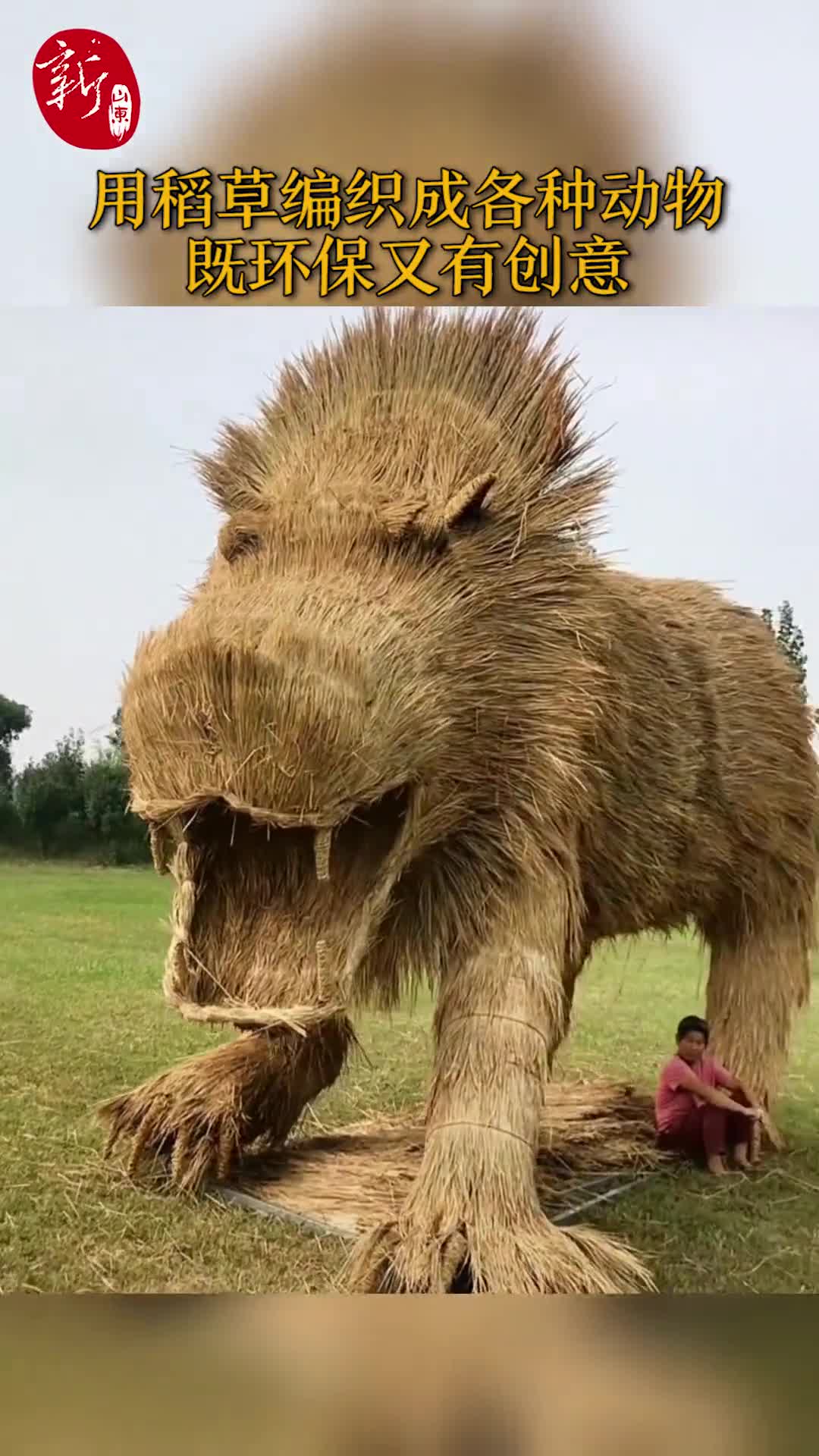 用稻草也能编成各种各样的动物,真是栩栩如生!-度小视