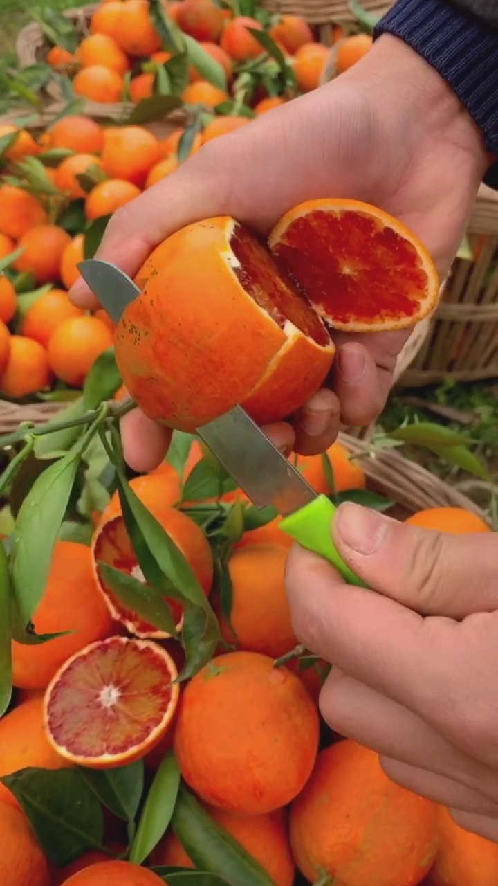 玫瑰血橙#农村小伙切开一个橙子,里面居然有血!