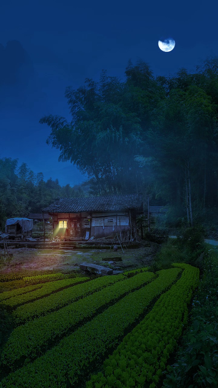 乡愁#故乡的夜晚,空气中总掺着泥土的气息,四周是伸手不见五指般的