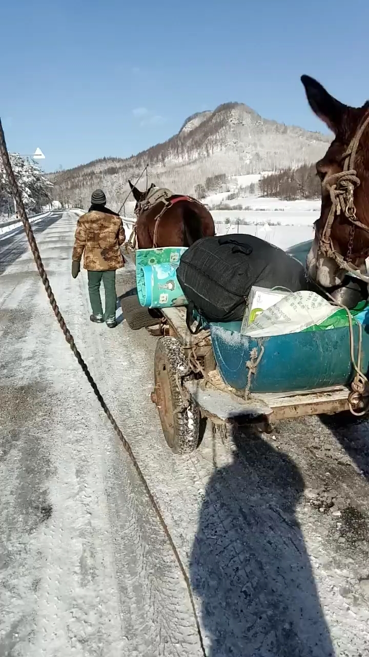 赶马车图片竖屏图片