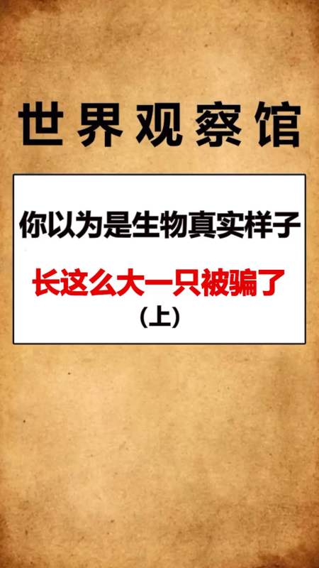 每天一点冷知识#你以为真实的样子,和实际样子还有很大差距(上)