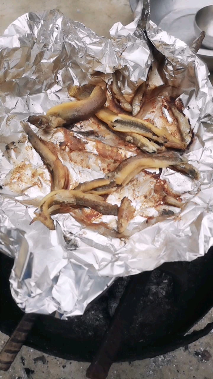 锡纸烤泥鳅,棒呆!
