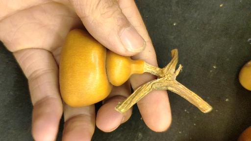 神葫芦#这个葫芦像什么年代的钱袋子