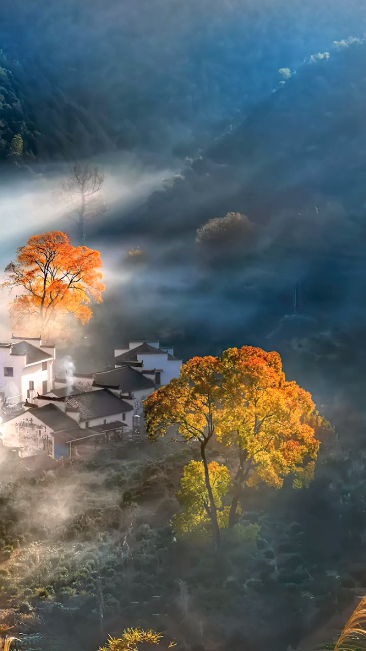 农村的早上是宁静淡雅的,没有那种喧闹气息,让人感到心平气和,心旷神