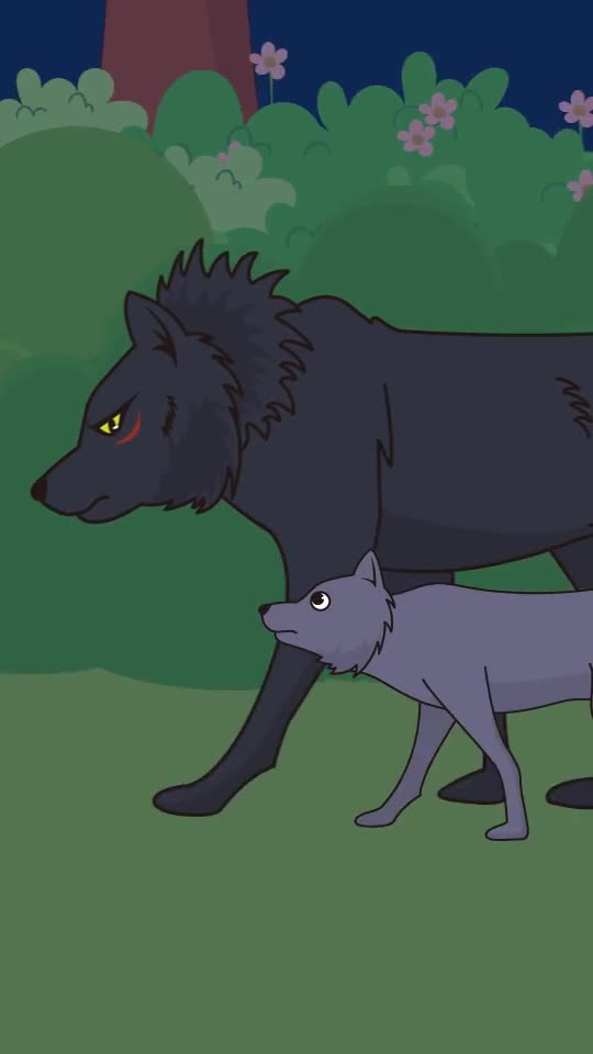 轻漫计划#动画狼的报恩续集来了