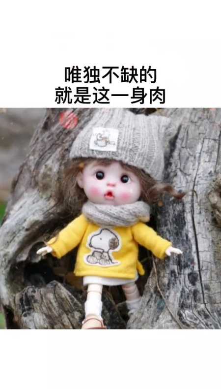 我缺爱缺觉缺缺心眼.唯独不缺的就是这一身肉!