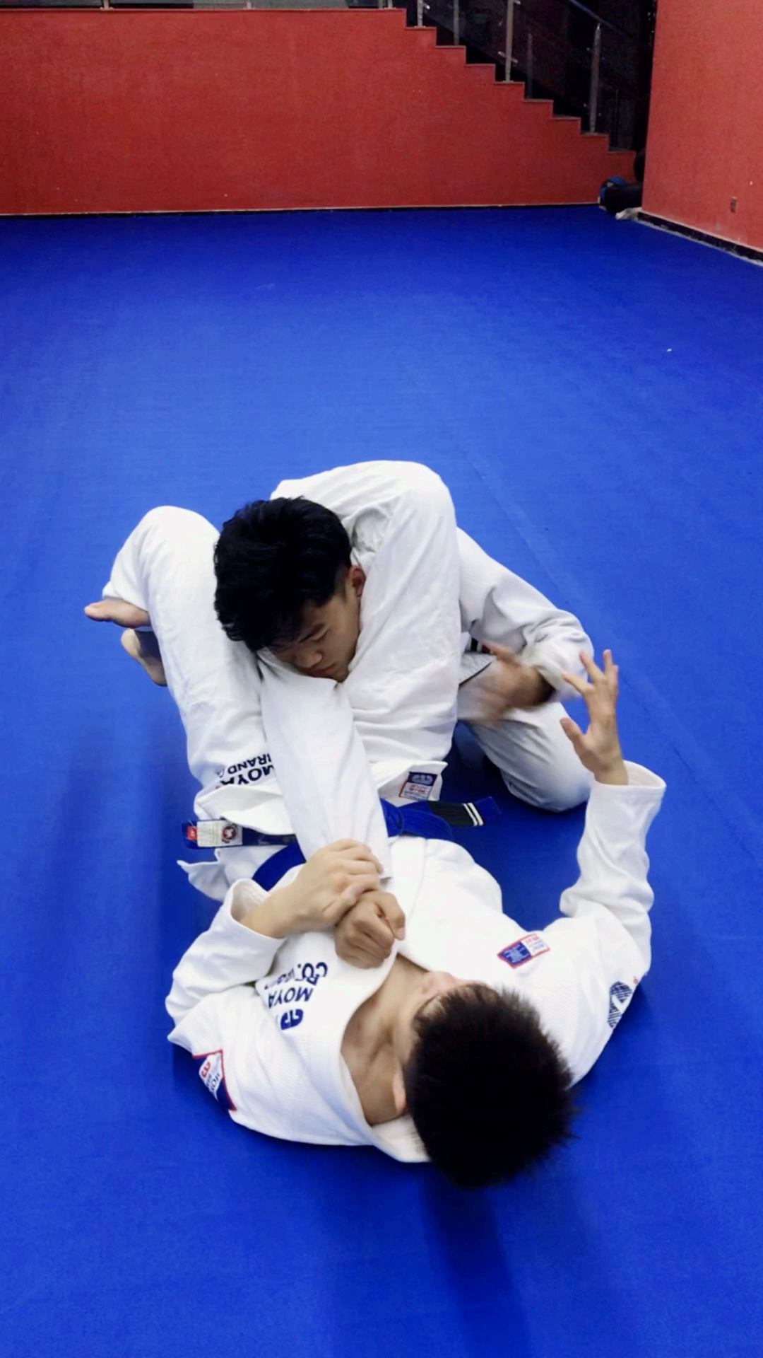 你喜欢的样子我都有#巴西柔术三角绞