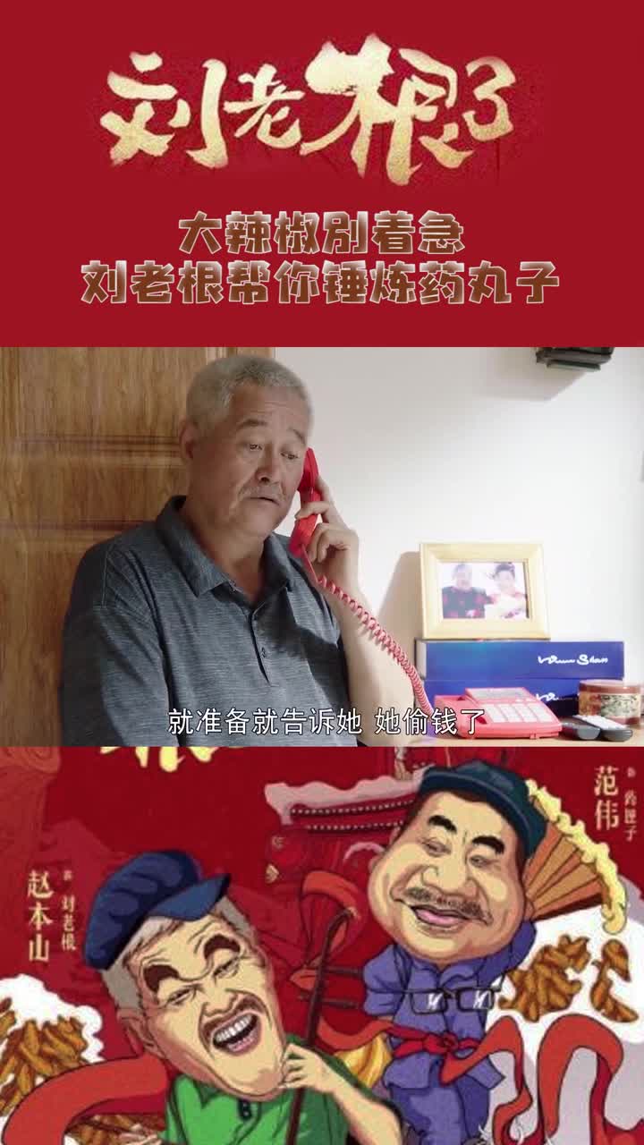 大辣椒别着急,刘老根帮你锤炼锤炼药丸子