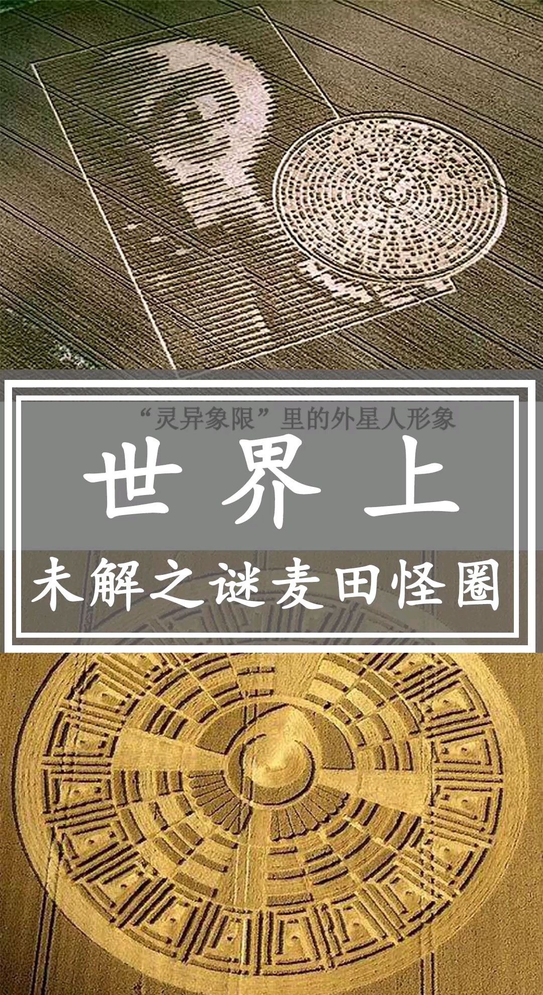 世界上未解之谜麦田怪圈