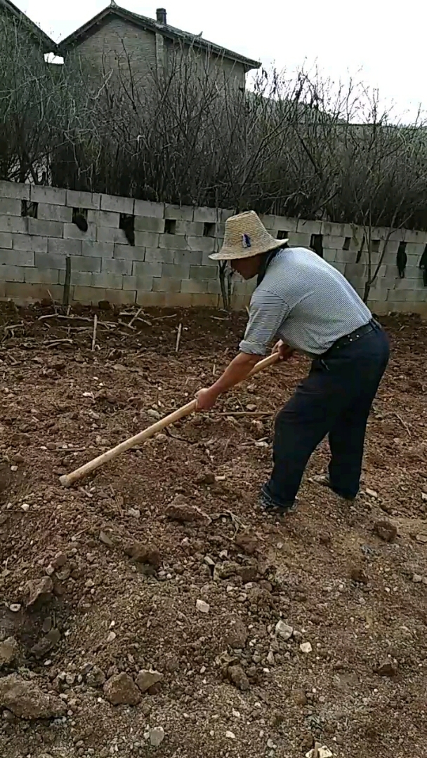 男人辛苦的图片 干活图片