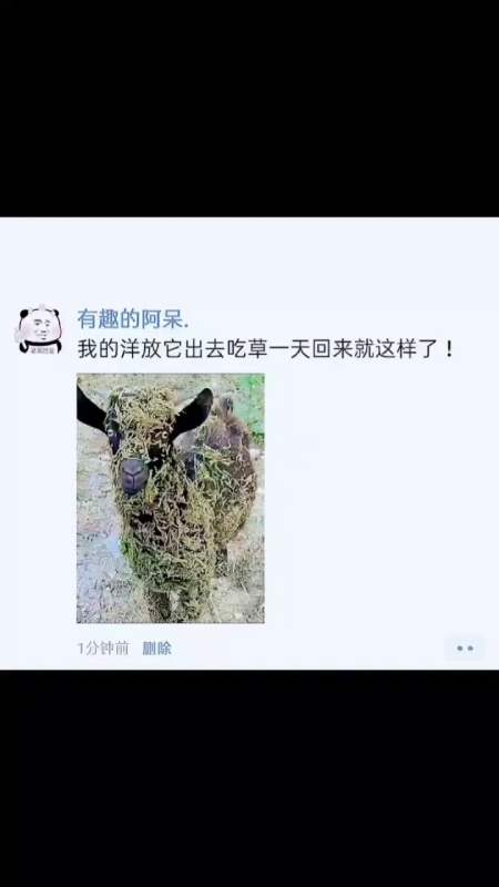 搞笑段子#我的放它出去吃草一天回来就这样了!