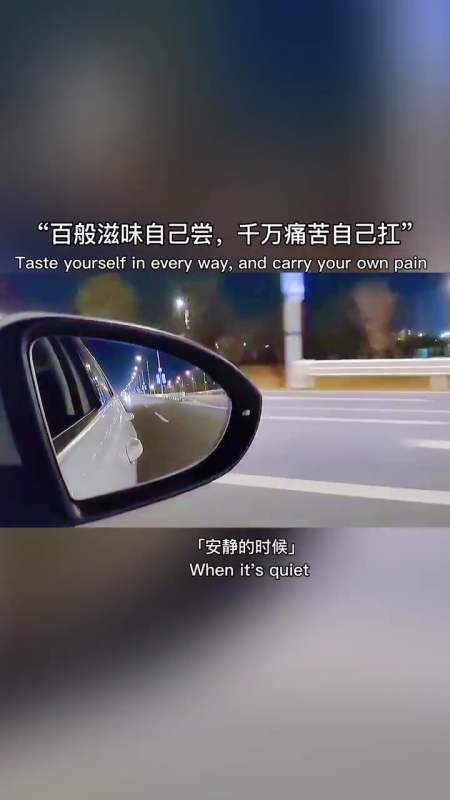 能相信谁又能依赖谁,一路走来我行囊里装满了酸甜苦辣我学会了沉默