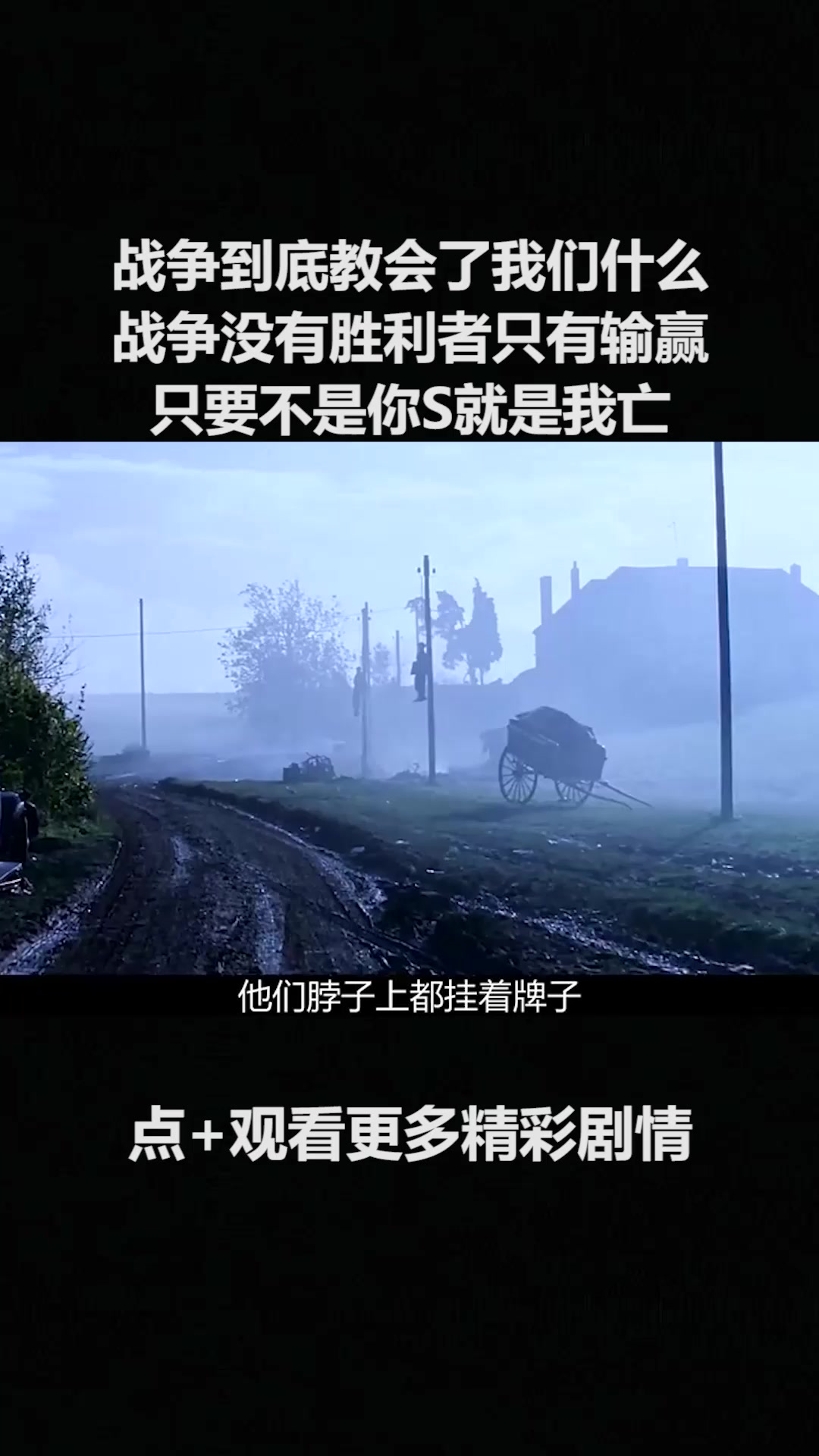 战争到底教会了我们什么战争没有胜利者只有输赢只要不是你s就是我亡