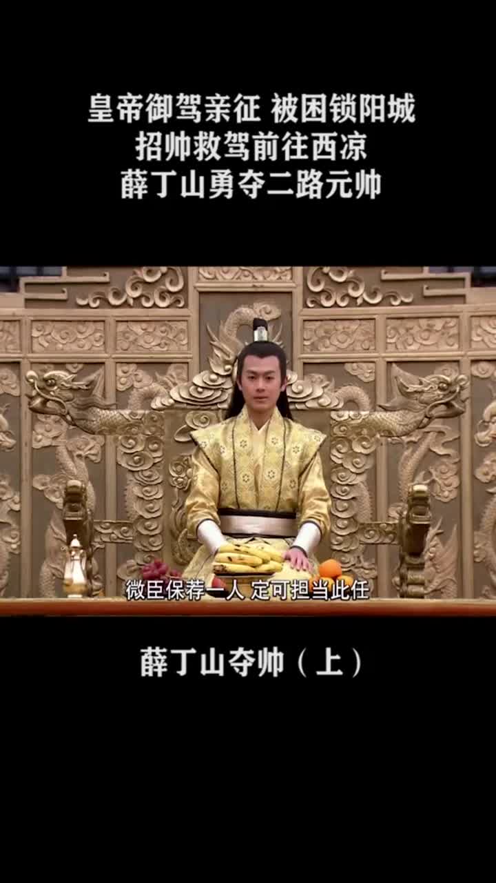 薛丁山第二部图片