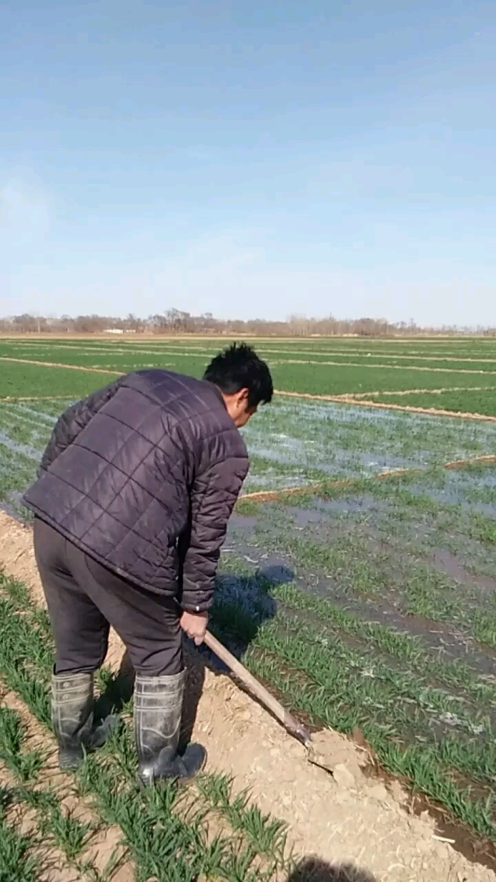 庄稼人种地太不容易,一年到头也挣不了几个钱,还受大累