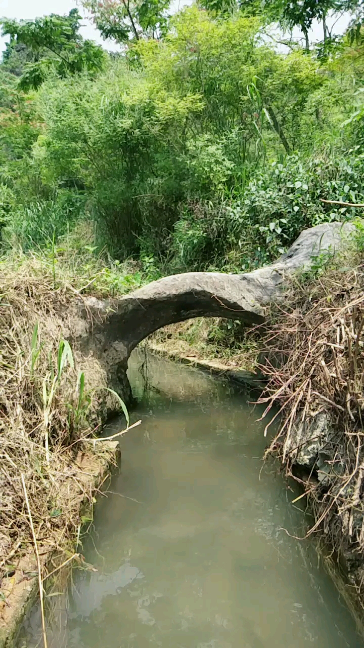 世间最小天然石桥.