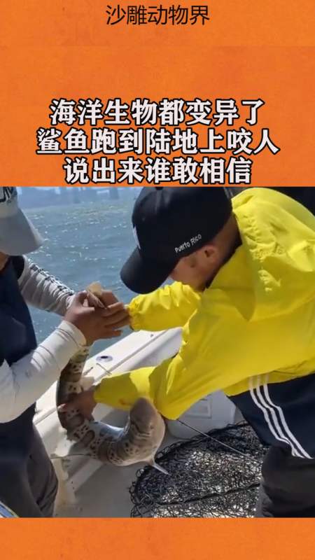我要上热门#海洋生物都变异了,鲨鱼跑到陆地上咬人,说出来谁敢相信