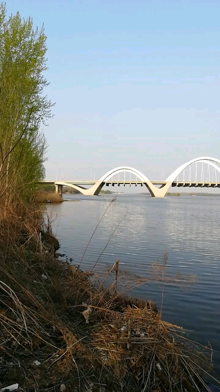 沈阳伯官大桥,长1113米,首座六跨中承式飘带型提篮拱桥