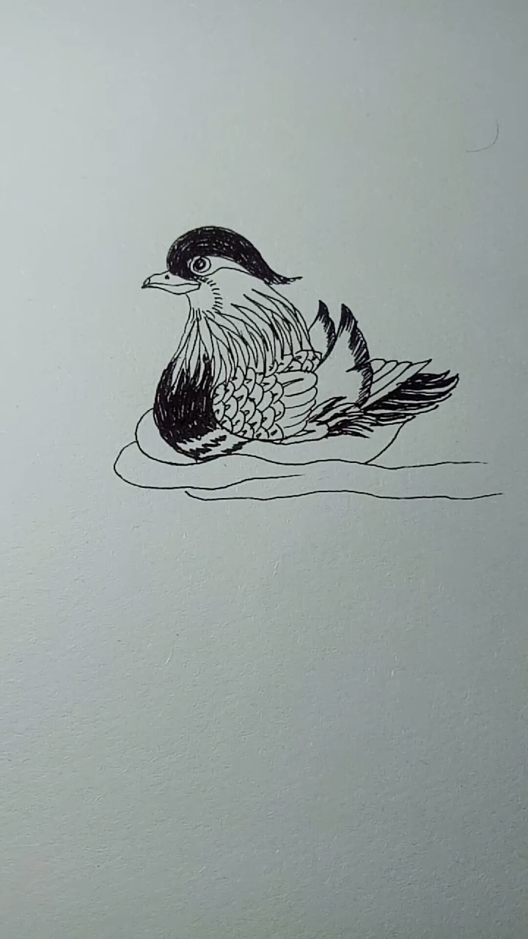 一看就会的白描画#鸳鸯白描画法