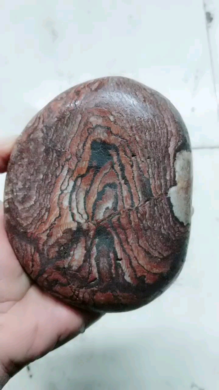 长江画面石之芙蓉石(牡丹石)