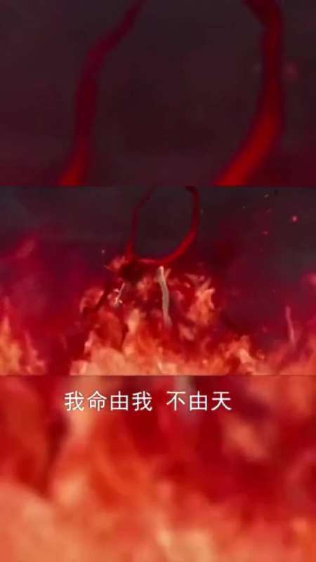 我命由我不由天,不认命才是哪吒的命,哪吒之魔童降世