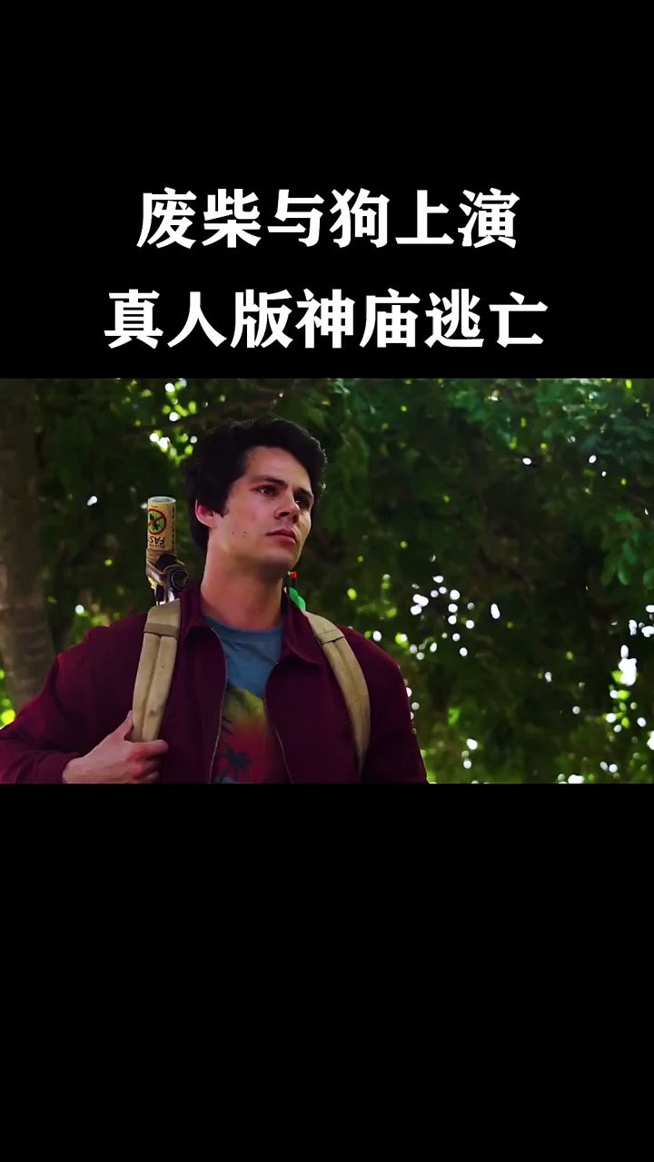 精彩影视#废柴与狗上演真人版神庙逃亡,险象环生