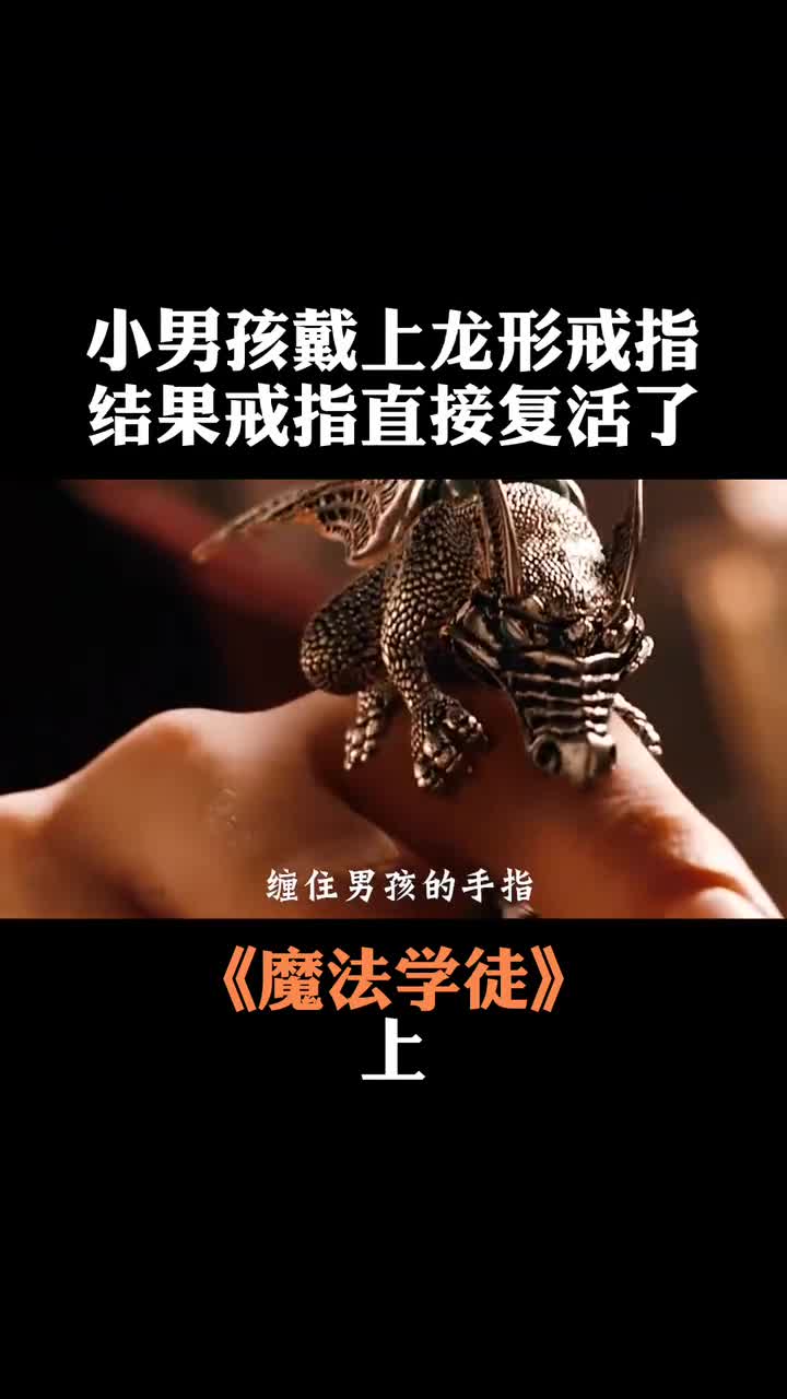 魔法师学徒:男孩获得一枚龙戒,抬手就能释放魔法,奇幻电影