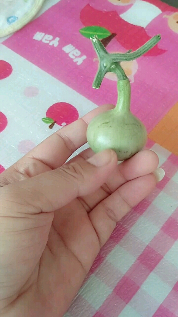 独头葫芦也漂亮