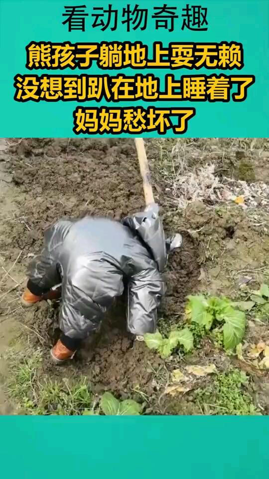熊孩子躺地上耍无赖,没想到居然趴在地上睡着了,妈妈愁坏了