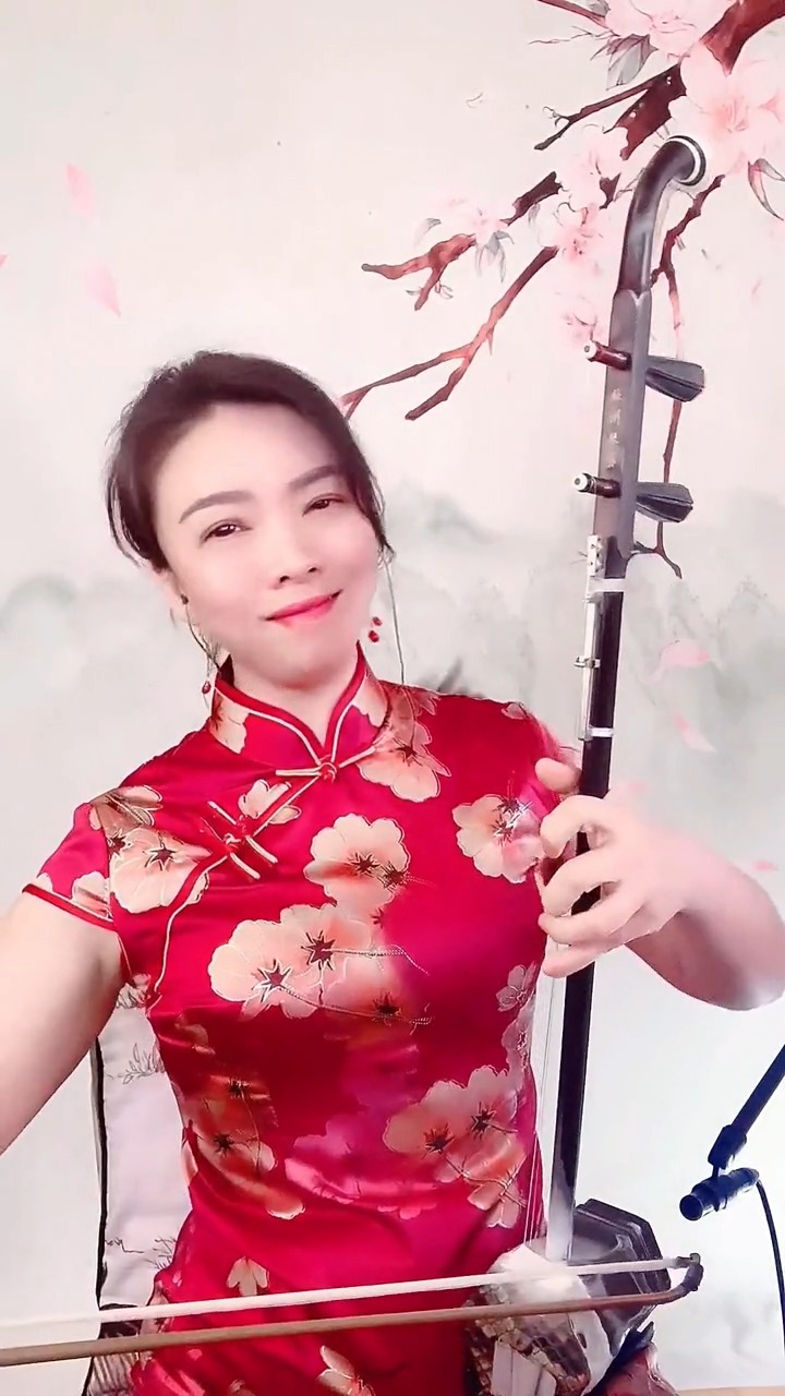 经典老歌#美女二胡独奏《说句心里话》,因为生活的逼迫不能回家过节