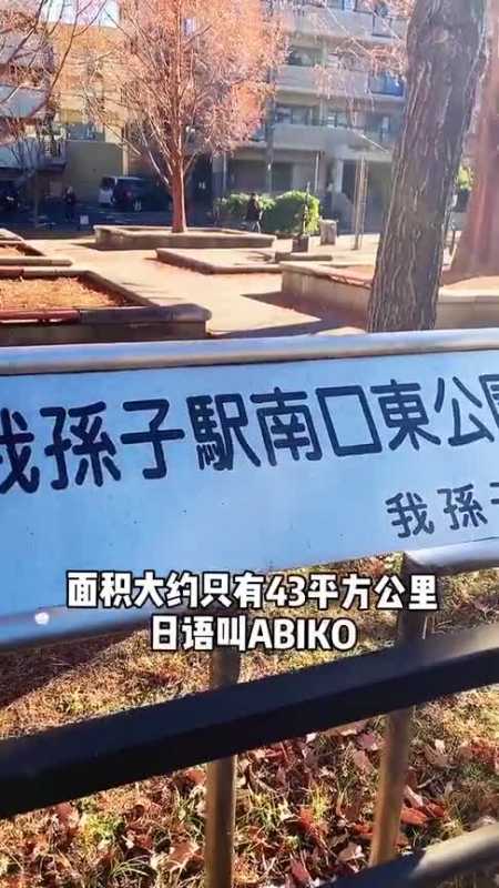 传说日本有座城叫"我孙子市,没想到是真实存在的,这名字起得太有才了