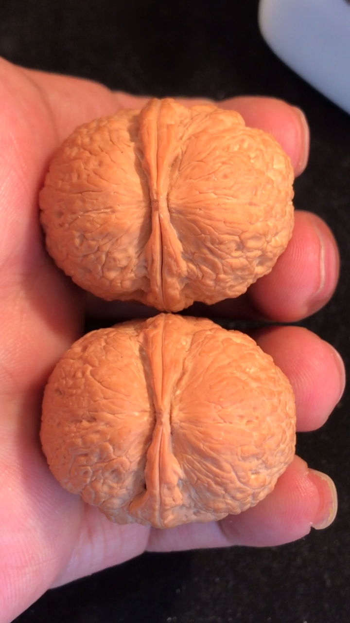 野生铁核桃,又叫 天启元宝