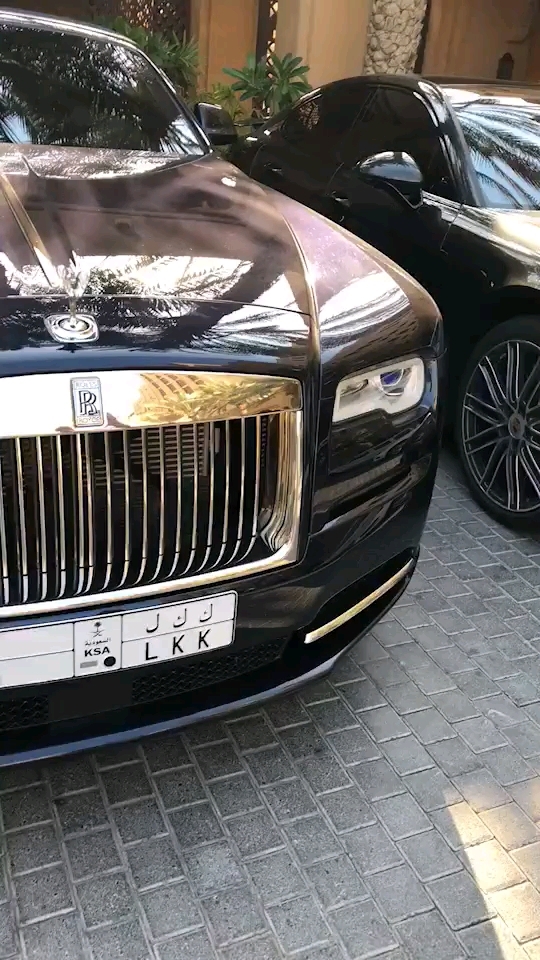 迪拜土豪车 看见豪车就忍不住拍