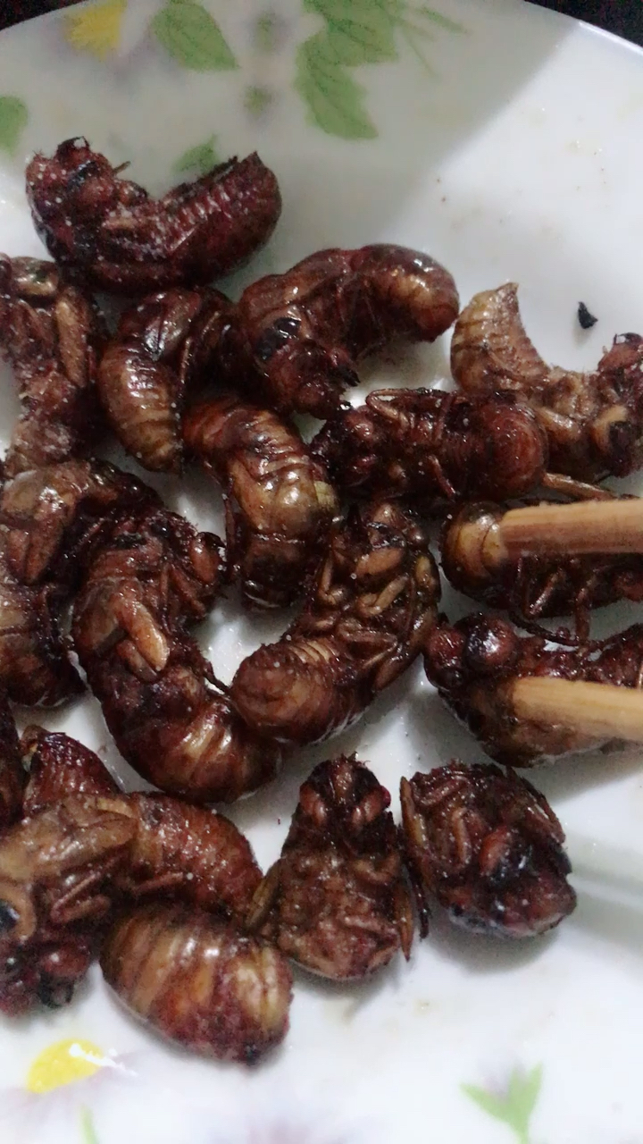 我们叫节流鬼,你们呢?