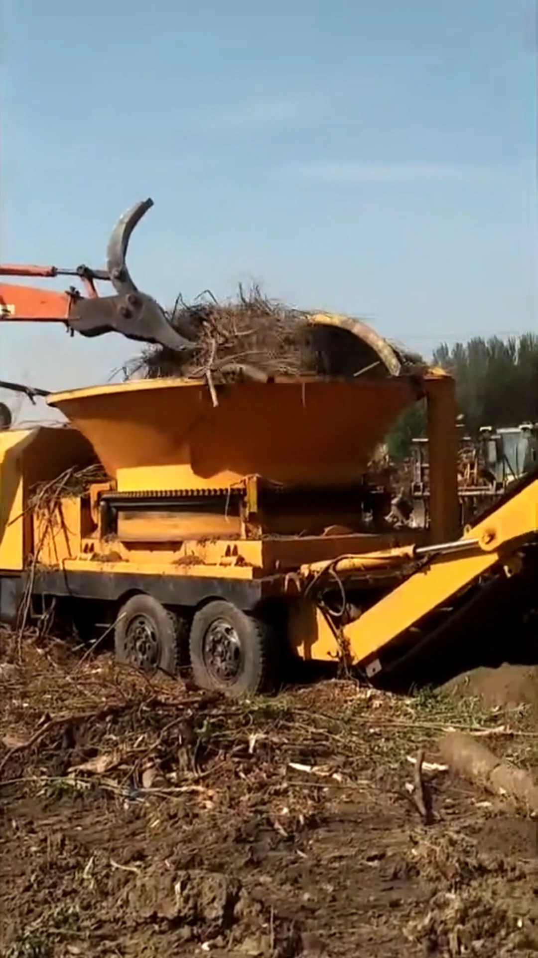 树枝树根圆盘破碎机#树枝树根圆盘破现场,好不好用我说了不算,客户