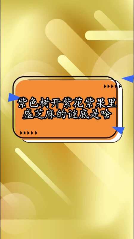 紫色樹開紫花紫果裡盛芝麻的謎底是啥,你瞭解了嗎