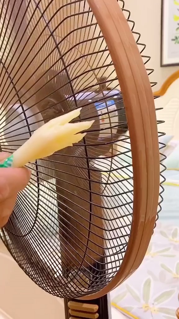 风扇罩赞美解决熊孩子受伤.