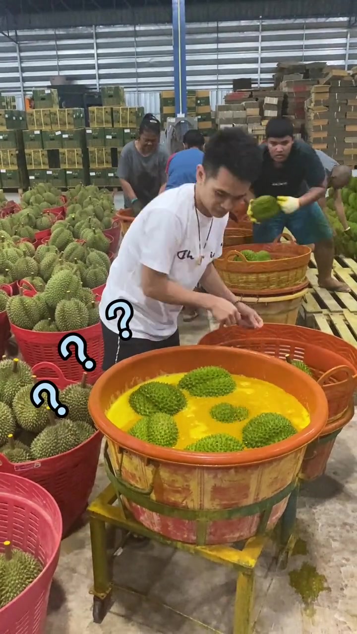 别再误会了!给榴莲泡的是黄姜水,黄姜水也是咖喱粉的原料