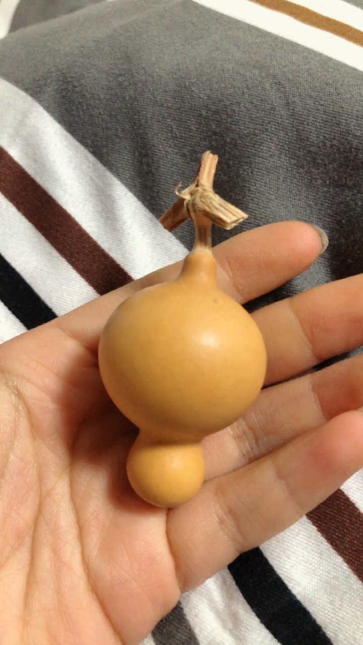 大头手捻葫芦!盘它!