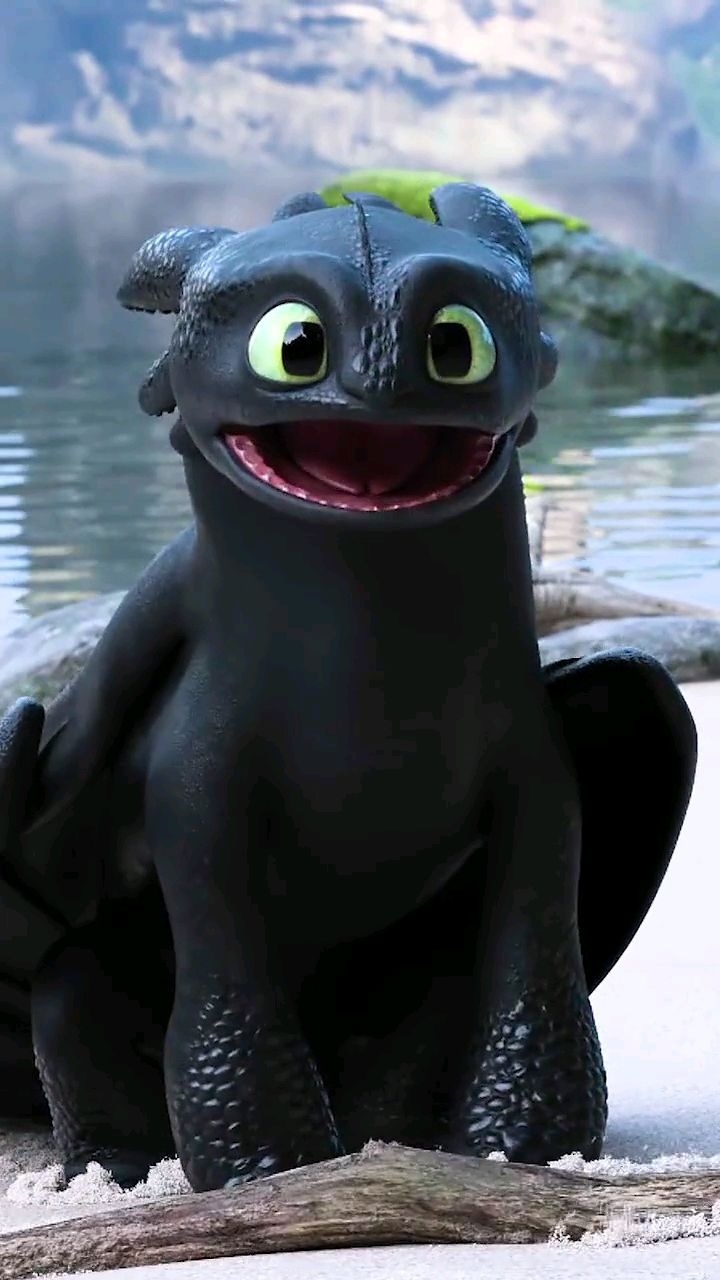 梦来侃影视:无牙仔