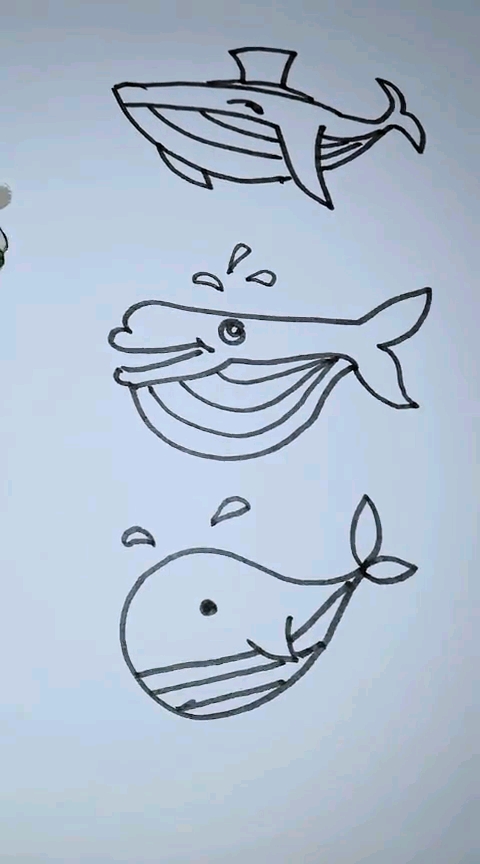 鲸鲨简笔画图片